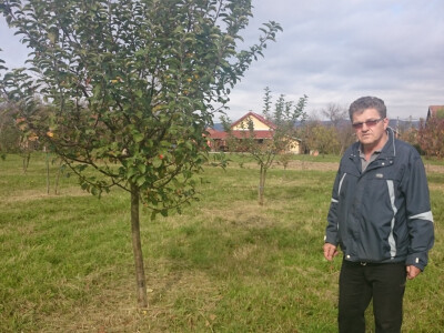 Uživa u voćnjaku, opuštanje od svakodnevnog stresa