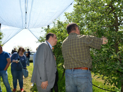 Elementarna nepogoda u Bjelovarsko-bilogorskoj županiji