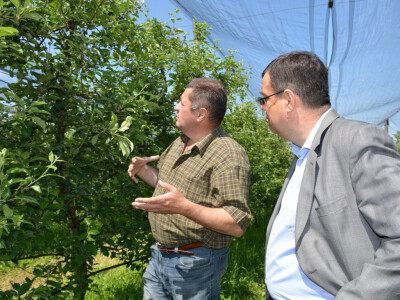 Elementarna nepogoda u Bjelovarsko-bilogorskoj županiji