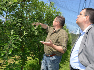 Elementarna nepogoda u Bjelovarsko-bilogorskoj županiji
