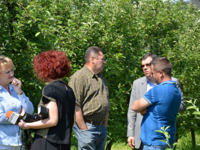 Elementarna nepogoda u Bjelovarsko-bilogorskoj županiji