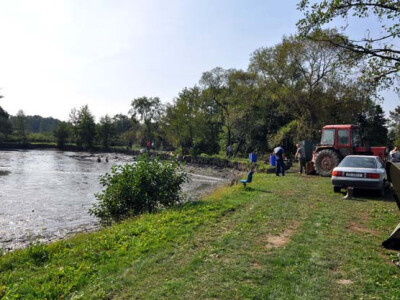 Ispuštanje ribnjaka u Jakšiću