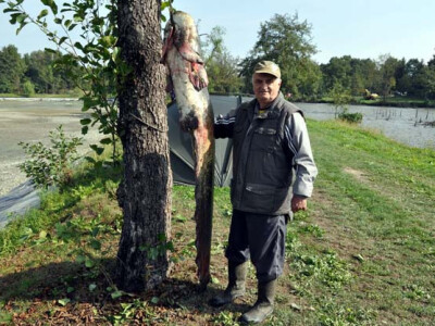 Ispuštanje ribnjaka u Jakšiću