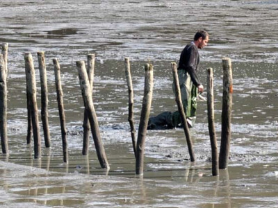 Ispuštanje ribnjaka u Jakšiću