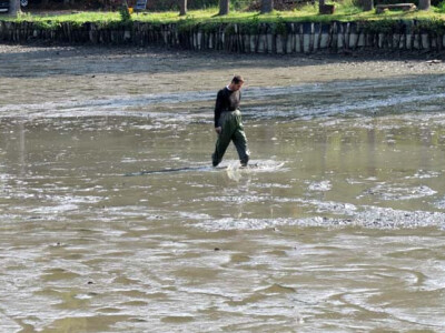 Ispuštanje ribnjaka u Jakšiću