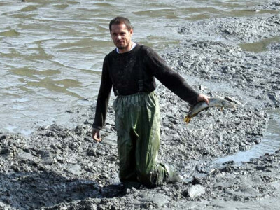 Ispuštanje ribnjaka u Jakšiću
