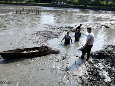 Ispuštanje ribnjaka u Jakšiću