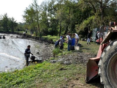 Ispuštanje ribnjaka u Jakšiću
