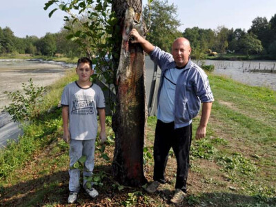 Ispuštanje ribnjaka u Jakšiću