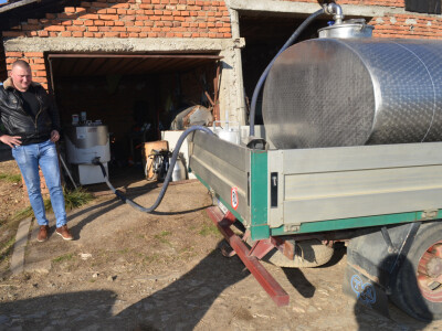 Svakog jutra predaje 60 litara mleka foto Biljana Nenković Svakog jutra predaje 60 litara mleka foto Biljana Nenković