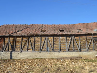 Aleksandrov salaš pun kukuruza foto Biljana Nenković