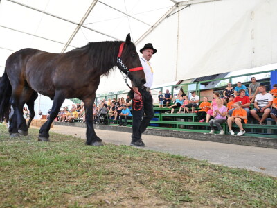 AGRA 2023, Gornja Radgona