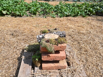 AGRA 2023, Gornja Radgona