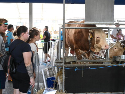 AGRA 2023, Gornja Radgona