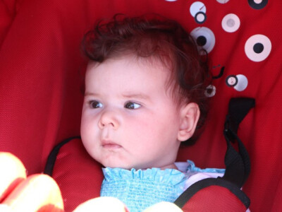 Utrka traktora u sklopu Festivala graševine