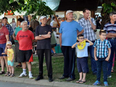 Utrka traktora u sklopu Festivala graševine