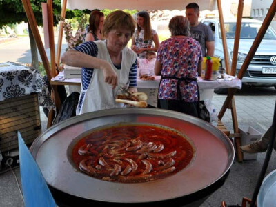 Utrka traktora u sklopu Festivala graševine