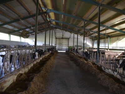 Godišnje nagrade Mljekarskog lista