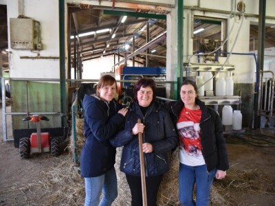 Godišnje nagrade Mljekarskog lista