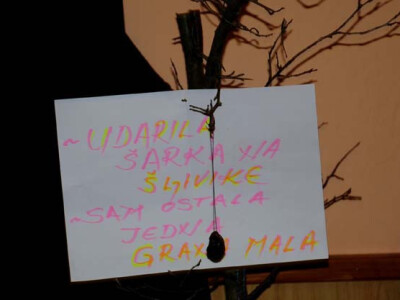 Šampionski švargl proizvela Marija Ribičić