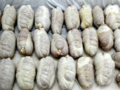 Kulen OPG Hruška Kulen OPG Hruška