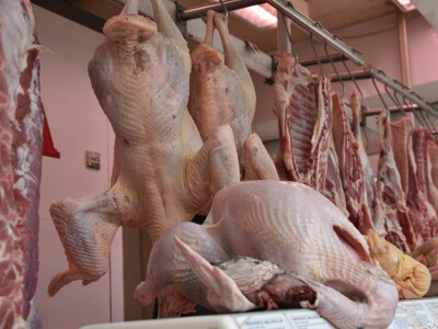 BADNJE JUTRO U ZADRU -  S peškarije na pijacu pa u mesnicu