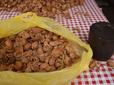 BADNJE JUTRO U ZADRU -  S peškarije na pijacu pa u mesnicu