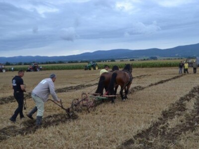 Prvo natjecanje u oranju konjima