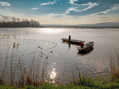 RuralFoto 2025 - TOP 10 fotografija u kategoriji #Proizvodnja