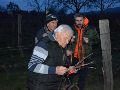 Sveti Vinko u vinariji Enjingi