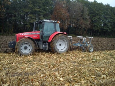 OPG Saša Saraja OPG Saša Saraja