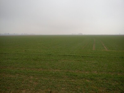 OPG Saša Saraja OPG Saša Saraja