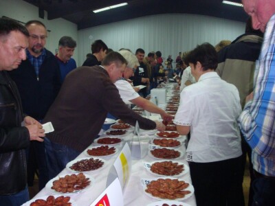 Odabrane najbolje kulenove seke