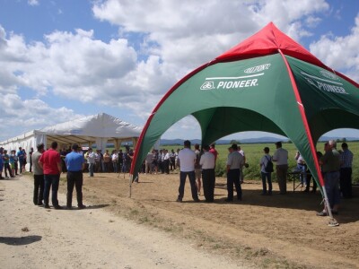 Pioneer hibridi uljane repice