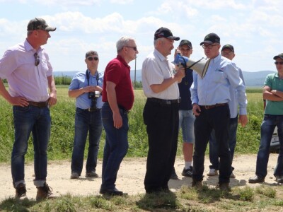 Pioneer hibridi uljane repice