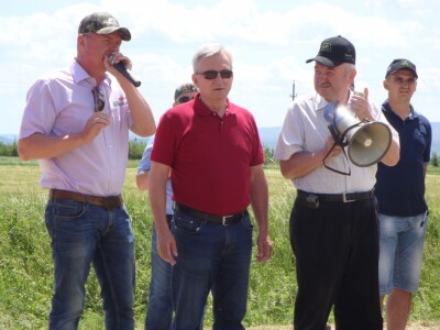 Pioneer hibridi uljane repice