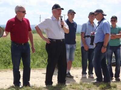 Pioneer hibridi uljane repice