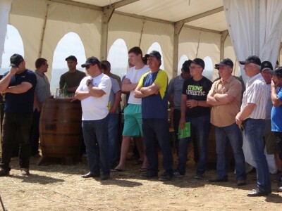 Pioneer hibridi uljane repice