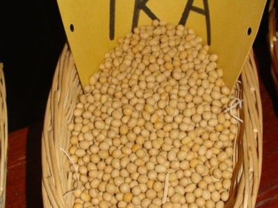 Predstavljanje projekta Dunav soja