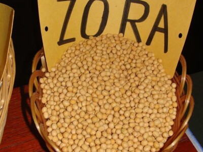 Predstavljanje projekta Dunav soja