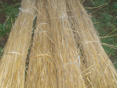 Košnice trnke od ražene slame