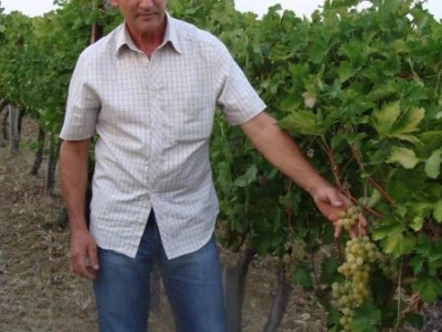 opg bogunović