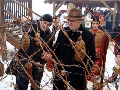 Direktor vinarije Belje Baldo Matić