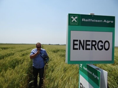 Dan polja ozime pšenice RWA Raiffeisen Agro d.o.o