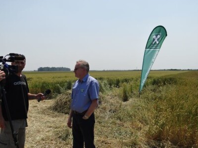 Dan polja ozime pšenice RWA Raiffeisen Agro d.o.o