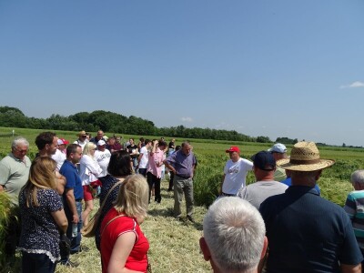 Dani polja Syngente 2019