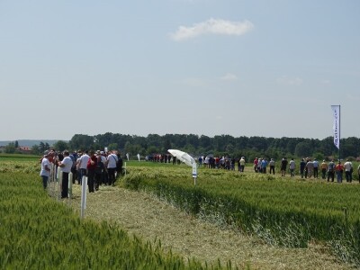 Dani polja Syngente 2019