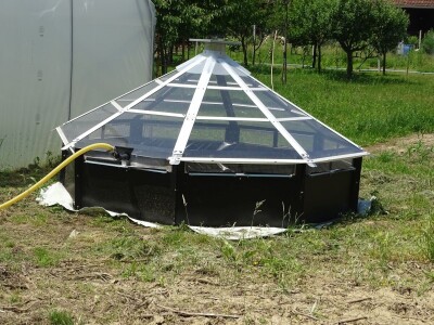 Dani polja Syngente 2019