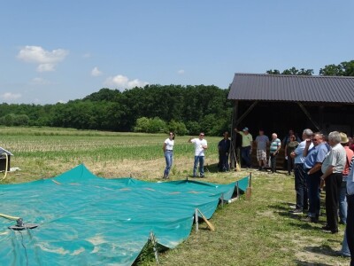 Dani polja Syngente 2019