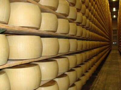 Posjet tvornicama Landini i Telehendlera Dieci u Italiji